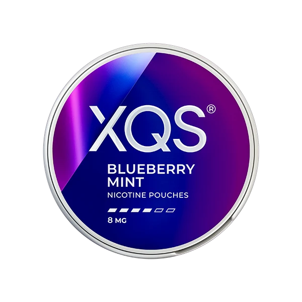XQS Blueberry Mint 8MG