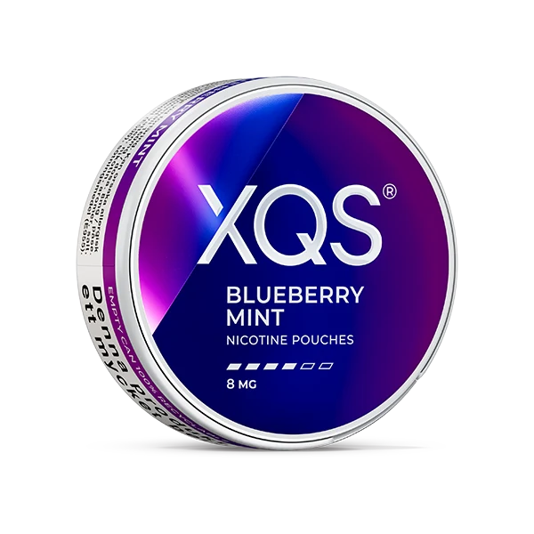 XQS Blueberry Mint 8MG