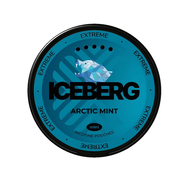 Iceberg Arctic Mint Mini