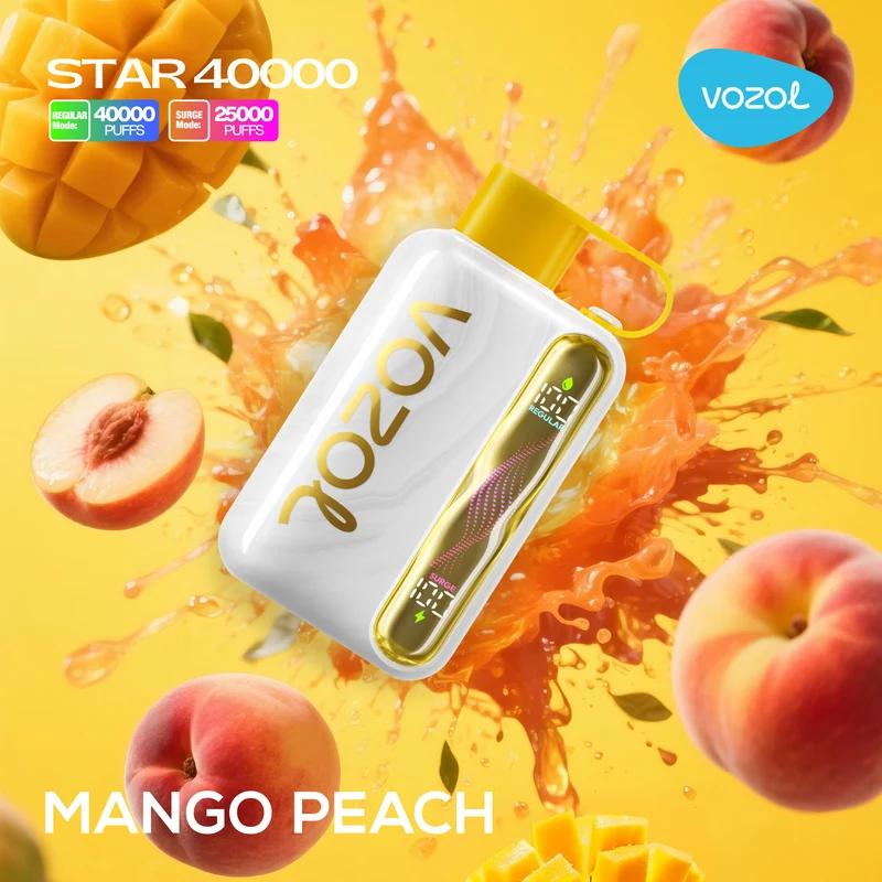 Vozol Star 40000 40K Puffs Einweg Kit (20mg) - 💥 Nehme 5 Zahle NUR 4! + Ab einem Einkauf von 100€ 2 Mystery Gratis💥