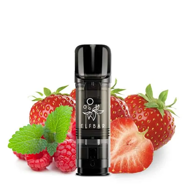 Fundgrube: Elfbar Elfa Prefilled Pods (2er-Pack)