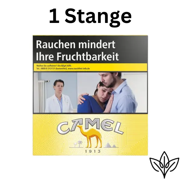 Camel Yellow BP 6XL (3x54)