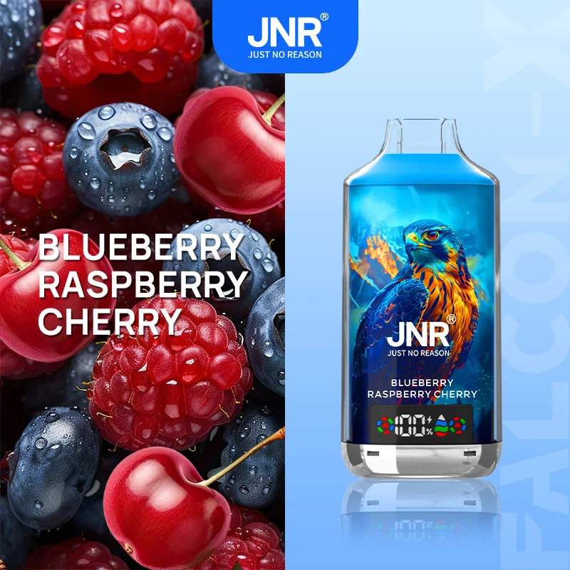 JNR Falcon X 18000 18K Puffs Einweg Kit - 💥 Nehme 4 Zahle NUR 3! + Ab einem Einkauf von 100€ 2 Mystery Gratis💥