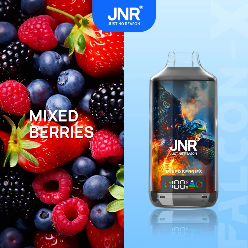 JNR Falcon X 18000 18K Puffs Einweg Kit - 💥 Nehme 4 Zahle NUR 3! + Ab einem Einkauf von 100€ 2 Mystery Gratis💥