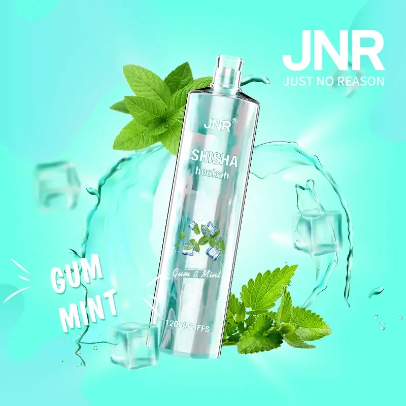JNR Shisha Hookah 12000 Puffs DTL Wiederaufladbarer Einweg Vape - 📢EXKLUSIVES ANGEBOT - Nehme 4 Zahle NUR 3! + Kostenloser Versand ab einem Bestellwert von €150 📢