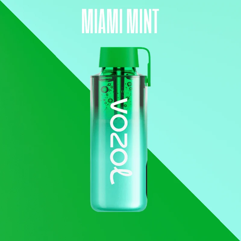 Vozol Neon 10000 Puffs Wiederaufladbares Einweg Kit - Kauf 4 Vapes und bezahle nur 3 Vapes
