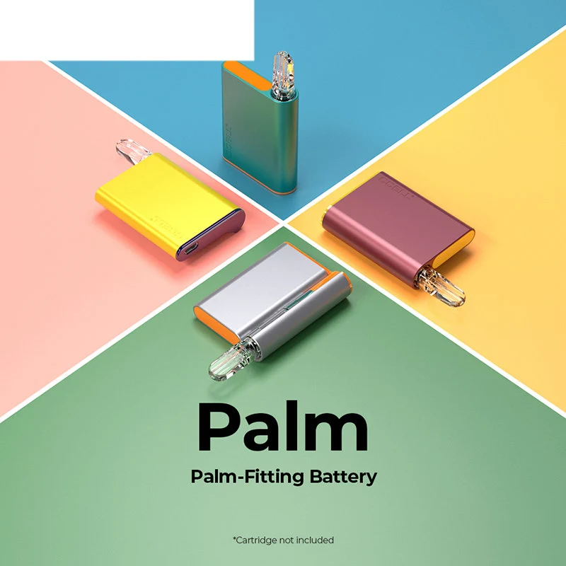 CCELL Palm 510 Batterie 500mAh