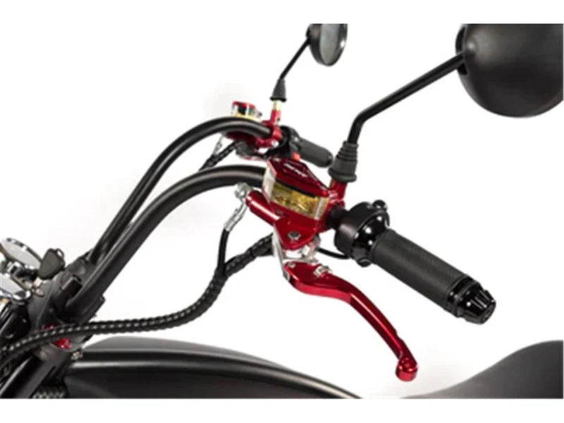 E-Chopper X9 2000W 25-45 km/h Dunkelgrün Matt