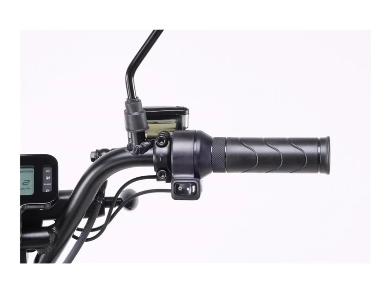 Coopop COX E-Bike E-Scrambler 1200W 25-45 km/h Dunkelgrün