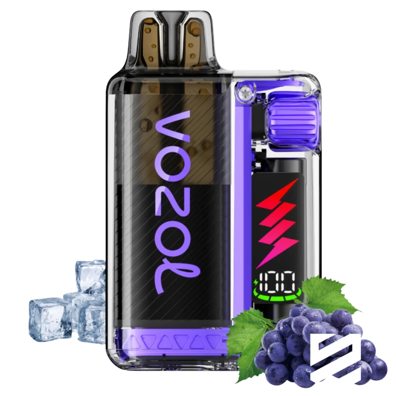 VOZOL - Vista Plug 10000 - Grape Ice