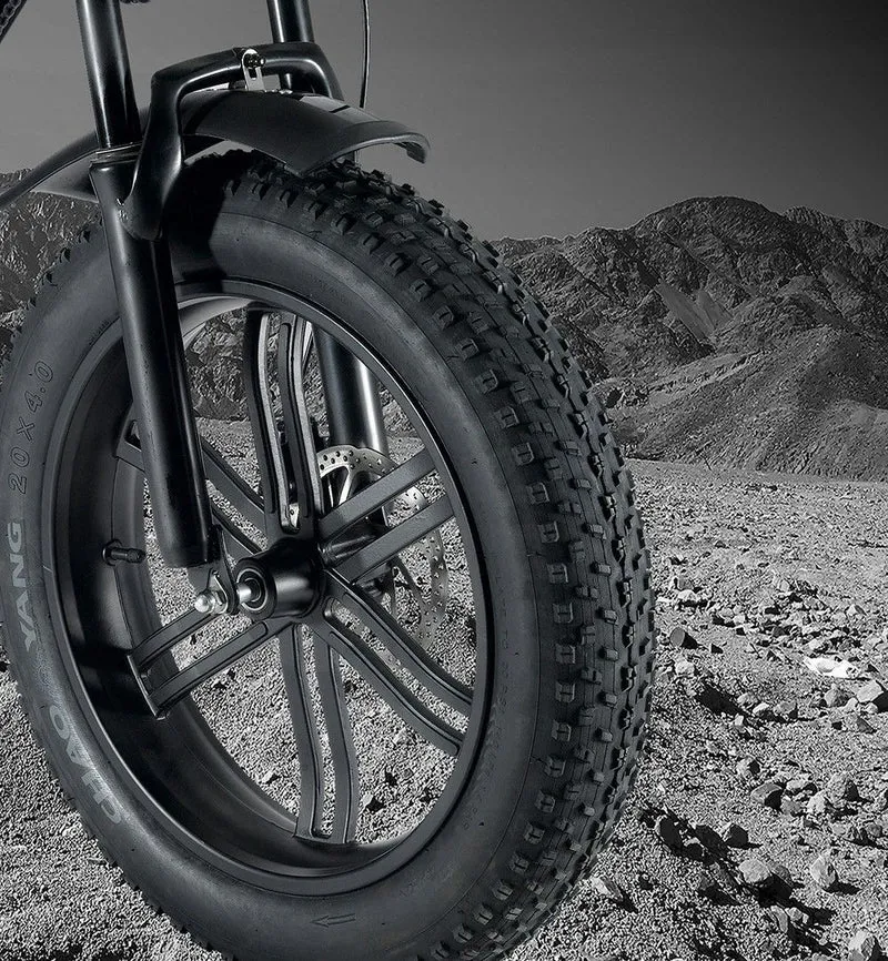 E-Bike S-Pedelec Elektrofahrrad E-Scooter mit BAFANG Vanquish S1
