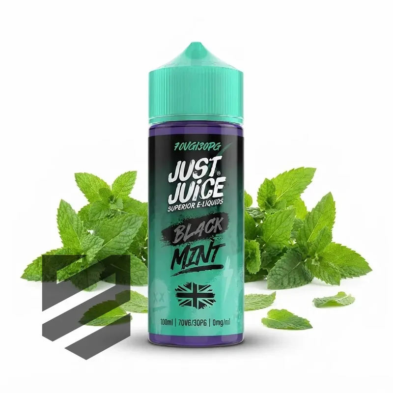 Just Juice - Mint 100ml 0mg