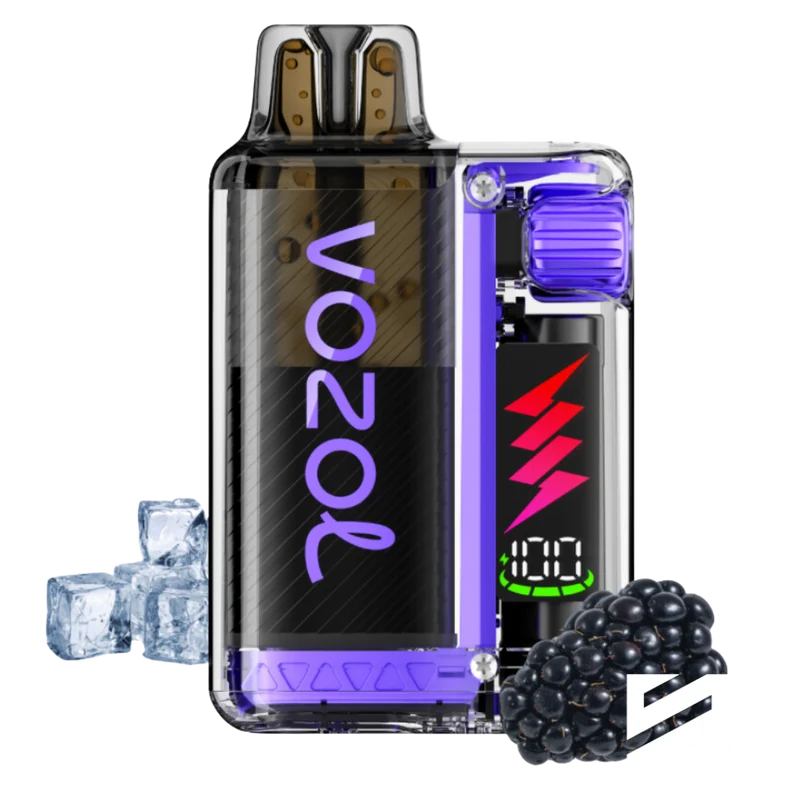 VOZOL - Vista Plug 10000 - Blackberry Ice