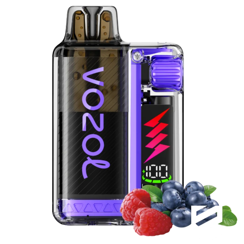 VOZOL - Vista Plug 10000 - Blueberry Sour Raspberry