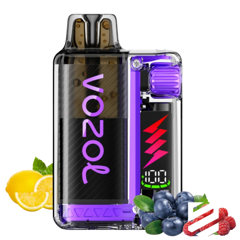 VOZOL - Vista Plug 10000 - Blueberry Raspberry Lemon