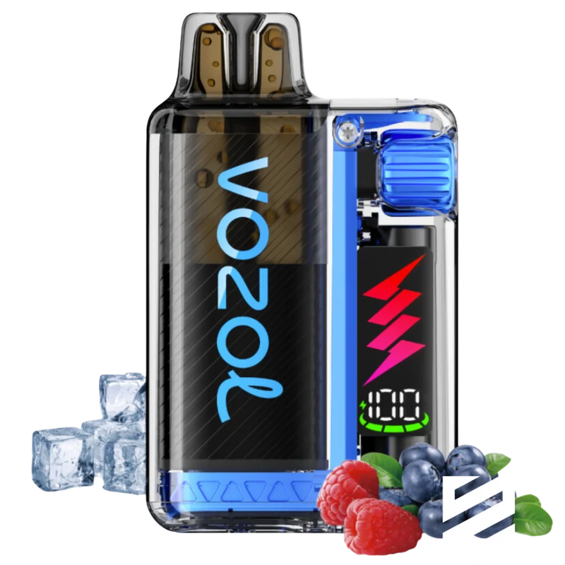 VOZOL - Vista Plug 10000 - Blue Razz Ice