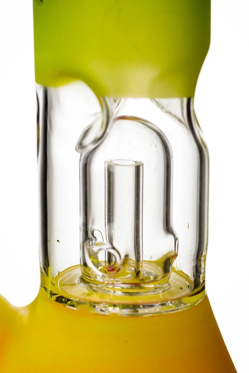 8" rasta dome percolator beaker water bong